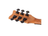 Schecter Schecter